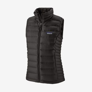 patagonia down sweater vest